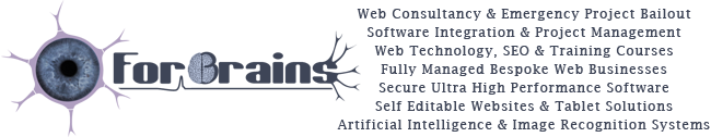 Website Analytics Software
